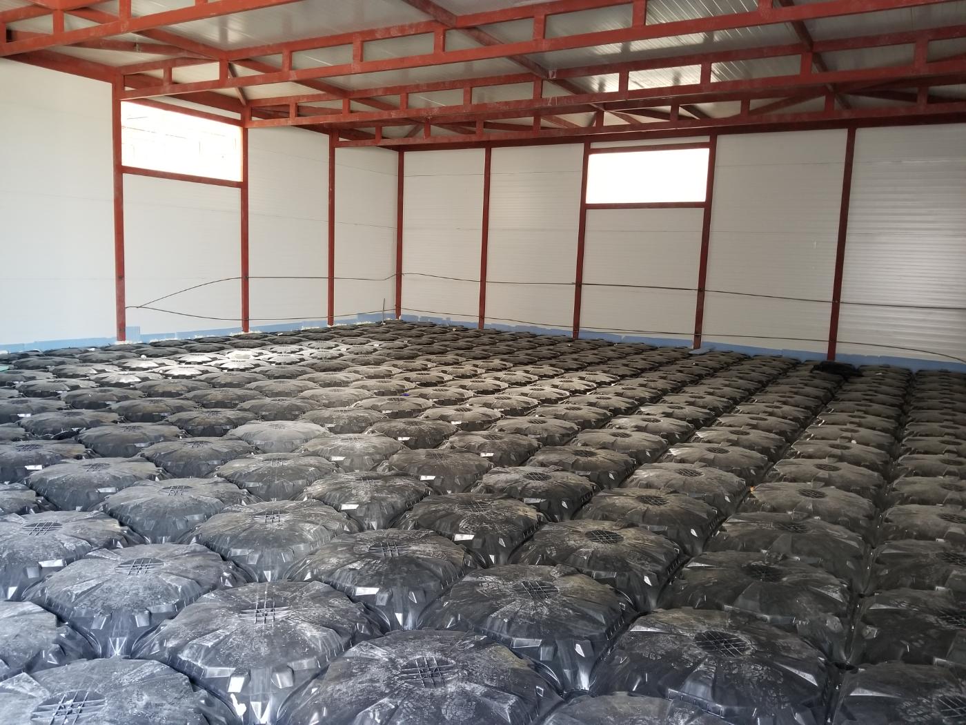 Dilovası Ela Kimya Fabrikası